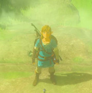 Zelda capture, a greenish color with Link standing in the middle, his bow and shield on his back