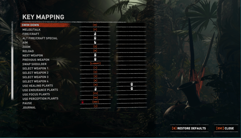 rise of the tomb raider pc controls